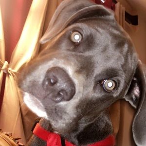 Meet your Posher, April